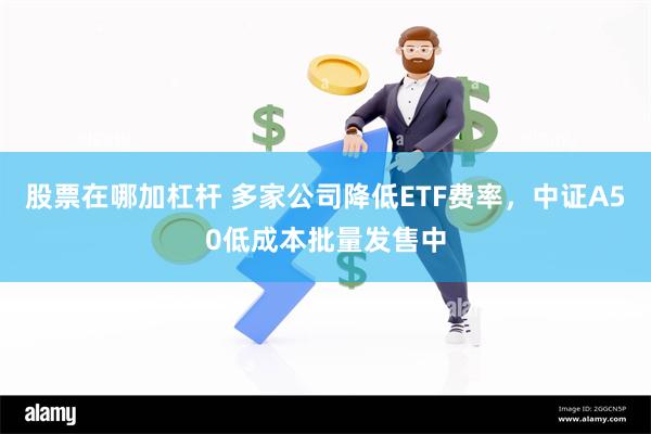 股票在哪加杠杆 多家公司降低ETF费率，中证A50低成本批量发售中