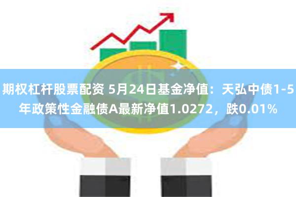 期权杠杆股票配资 5月24日基金净值：天弘中债1-5年政策性金融债A最新净值1.0272，跌0.01%