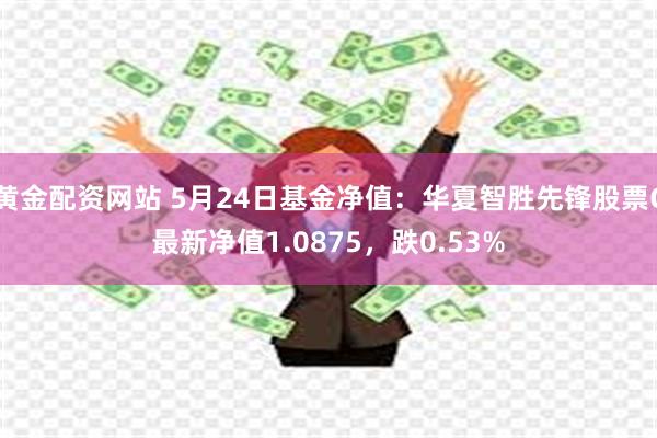 黄金配资网站 5月24日基金净值：华夏智胜先锋股票C最新净值1.0875，跌0.53%