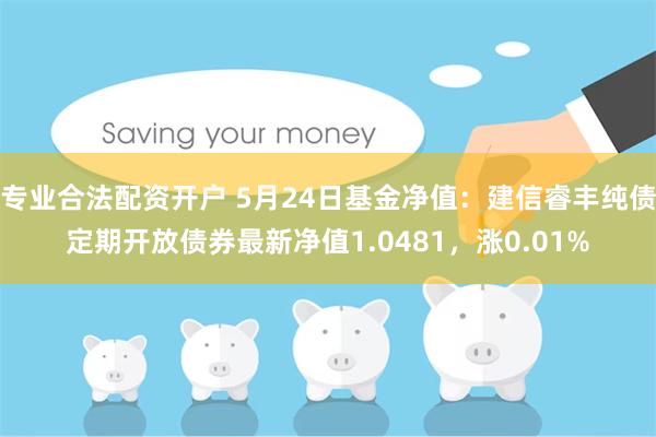 专业合法配资开户 5月24日基金净值：建信睿丰纯债定期开放债券最新净值1.0481，涨0.01%