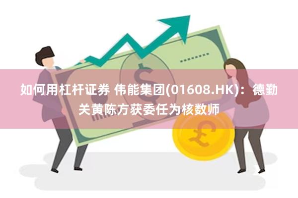 如何用杠杆证券 伟能集团(01608.HK)：德勤关黄陈方获委任为核数师