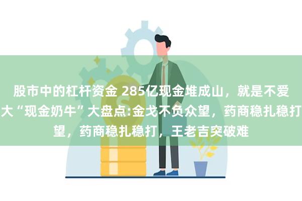 股市中的杠杆资金 285亿现金堆成山，就是不爱分红！白云山三大“现金奶牛”大盘点:金戈不负众望，药商稳扎稳打，王老吉突破难