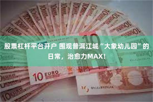 股票杠杆平台开户 围观普洱江城“大象幼儿园”的日常，治愈力MAX！