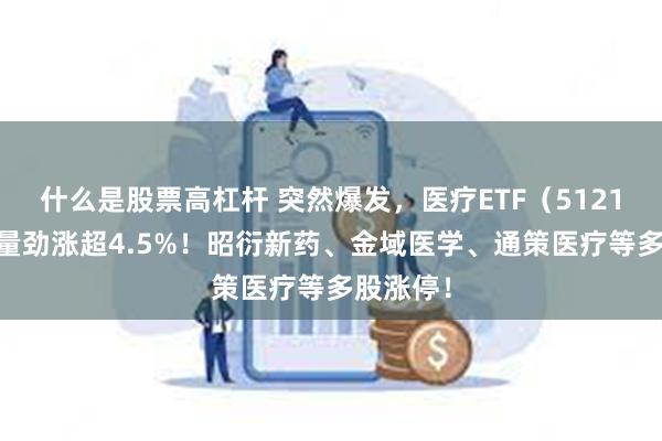 什么是股票高杠杆 突然爆发，医疗ETF（512170）放量劲涨超4.5%！昭衍新药、金域医学、通策医疗等多股涨停！