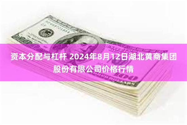 资本分配与杠杆 2024年8月12日湖北黄商集团股份有限公司价格行情