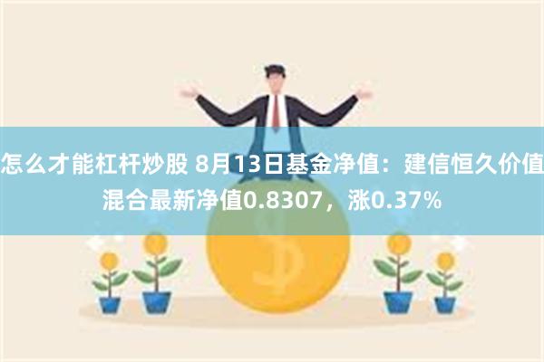 怎么才能杠杆炒股 8月13日基金净值：建信恒久价值混合最新净值0.8307，涨0.37%