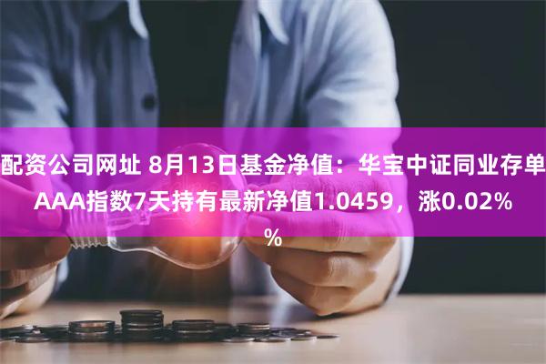 配资公司网址 8月13日基金净值：华宝中证同业存单AAA指数7天持有最新净值1.0459，涨0.02%