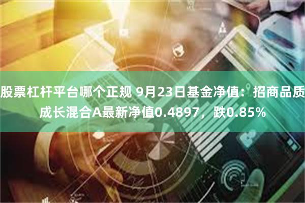 股票杠杆平台哪个正规 9月23日基金净值：招商品质成长混合A最新净值0.4897，跌0.85%