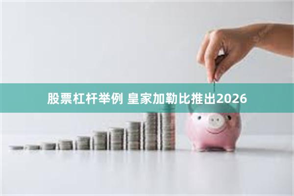 股票杠杆举例 皇家加勒比推出2026