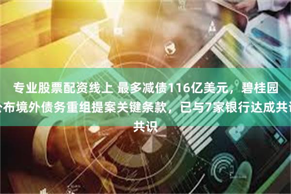 专业股票配资线上 最多减债116亿美元，碧桂园公布境外债务重组提案关键条款，已与7家银行达成共识